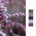 frosty lavender color palette